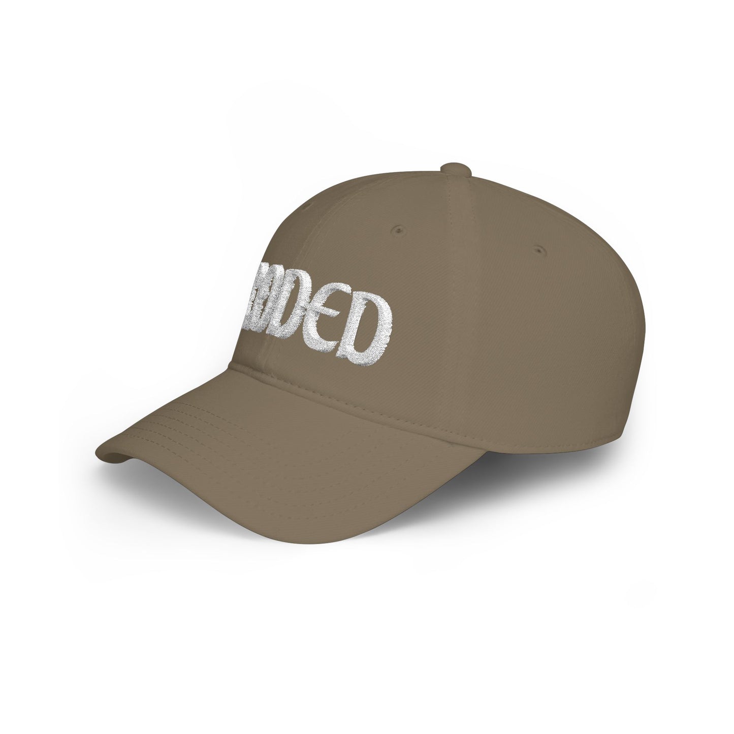 CODED SIDE SWIPER Low Profile Baseball Cap