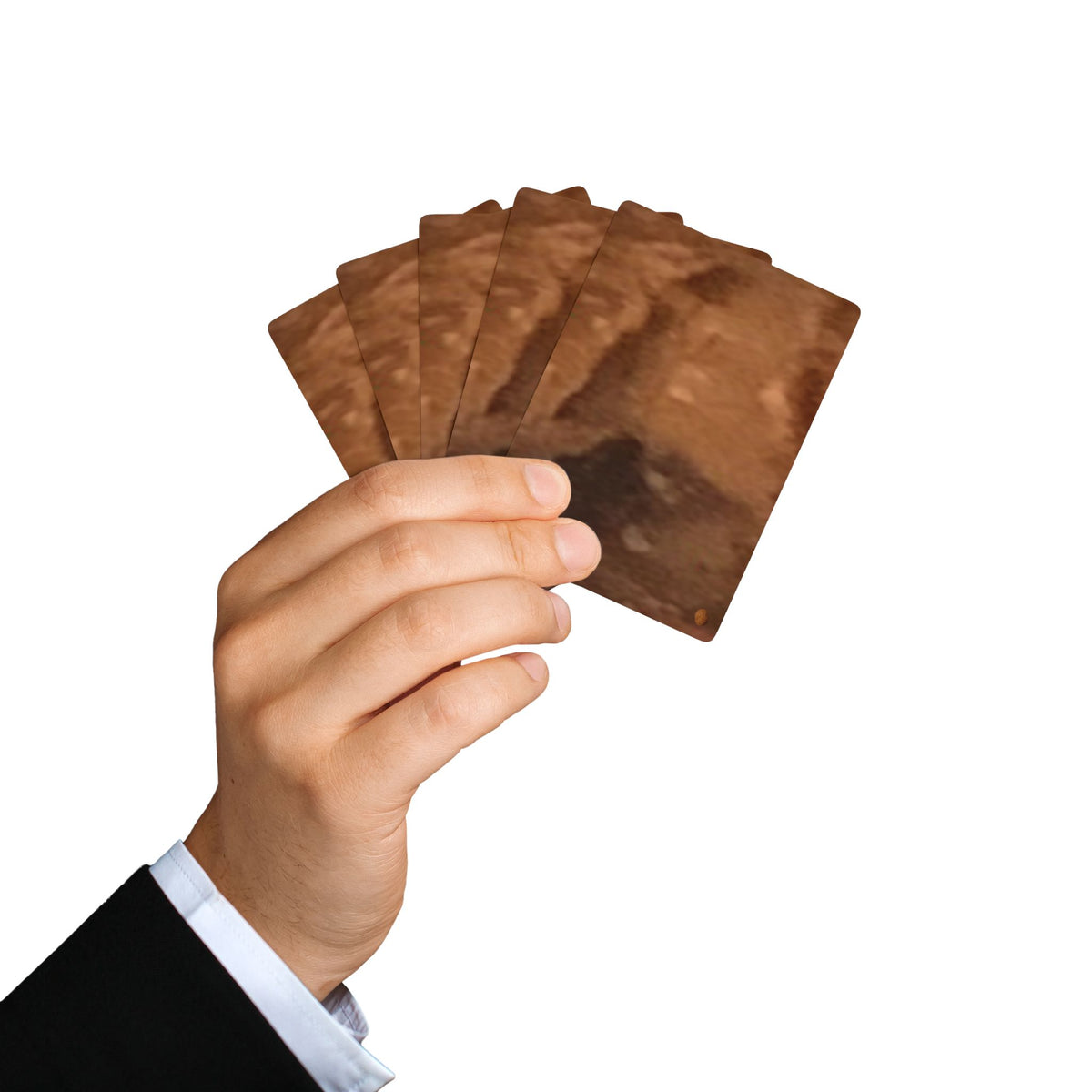 EDITH EINSTEIN WALNUT FACTORY 17 Poker Playing Cards