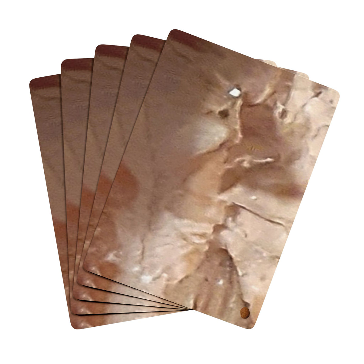 EDITH EINSTEIN WALNUT FACTORY 2 Poker Playing Cards