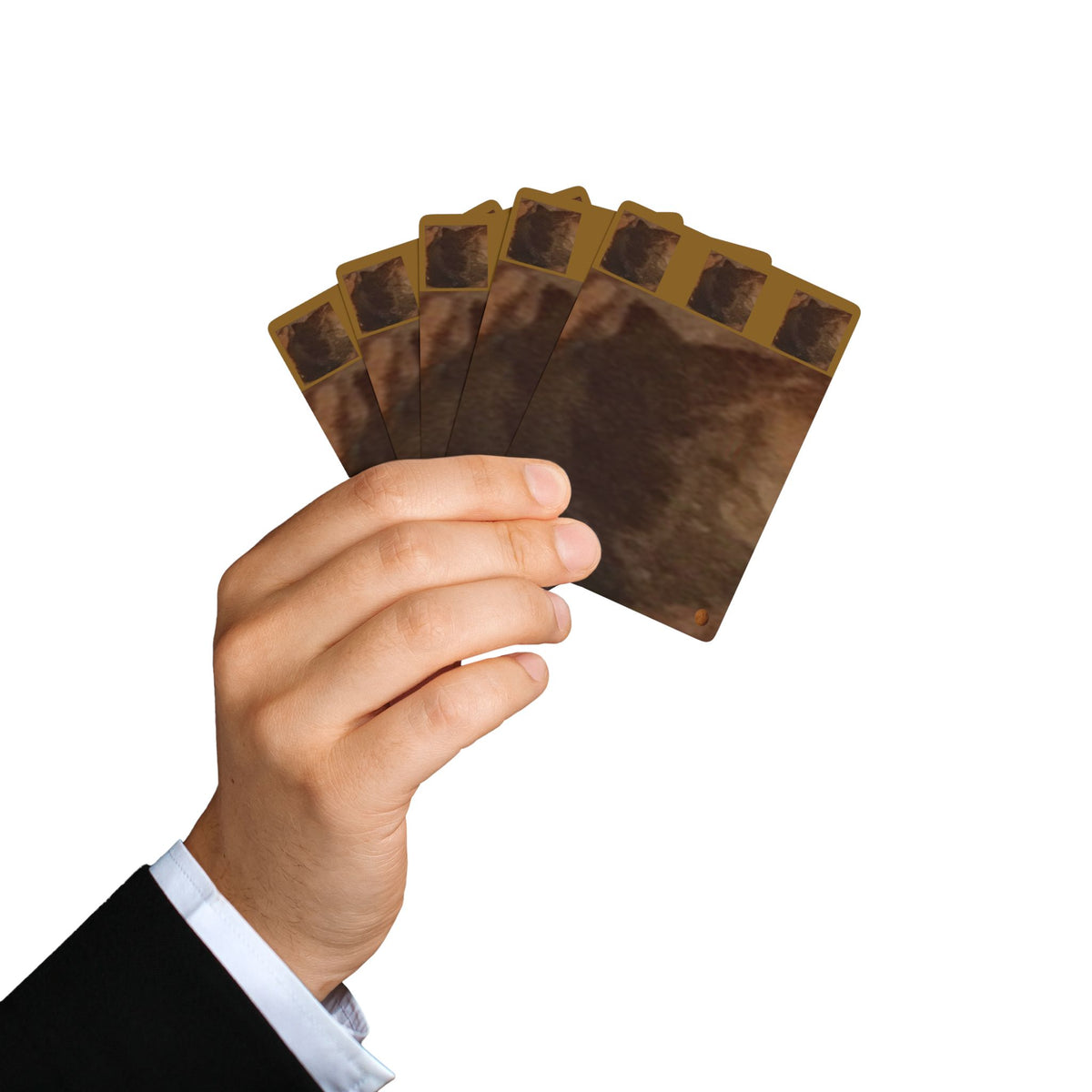 EDITH EINSTEIN WALNUT FACTORY 23 Poker Playing Cards
