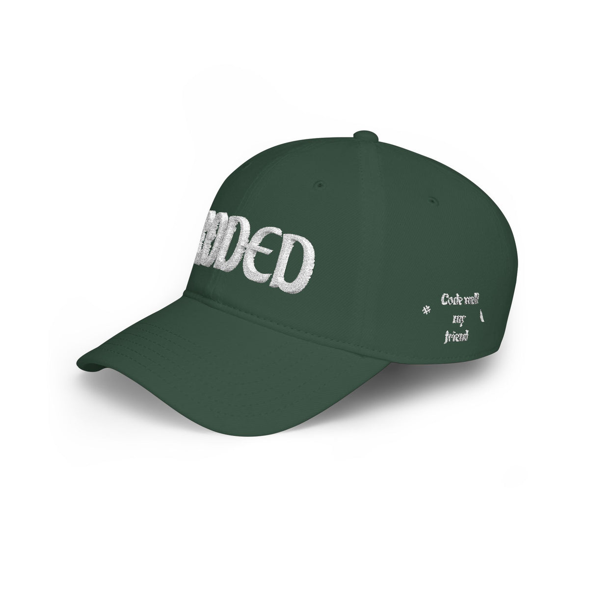 CODE WELL MY FRIEND Low Profile Baseball Cap