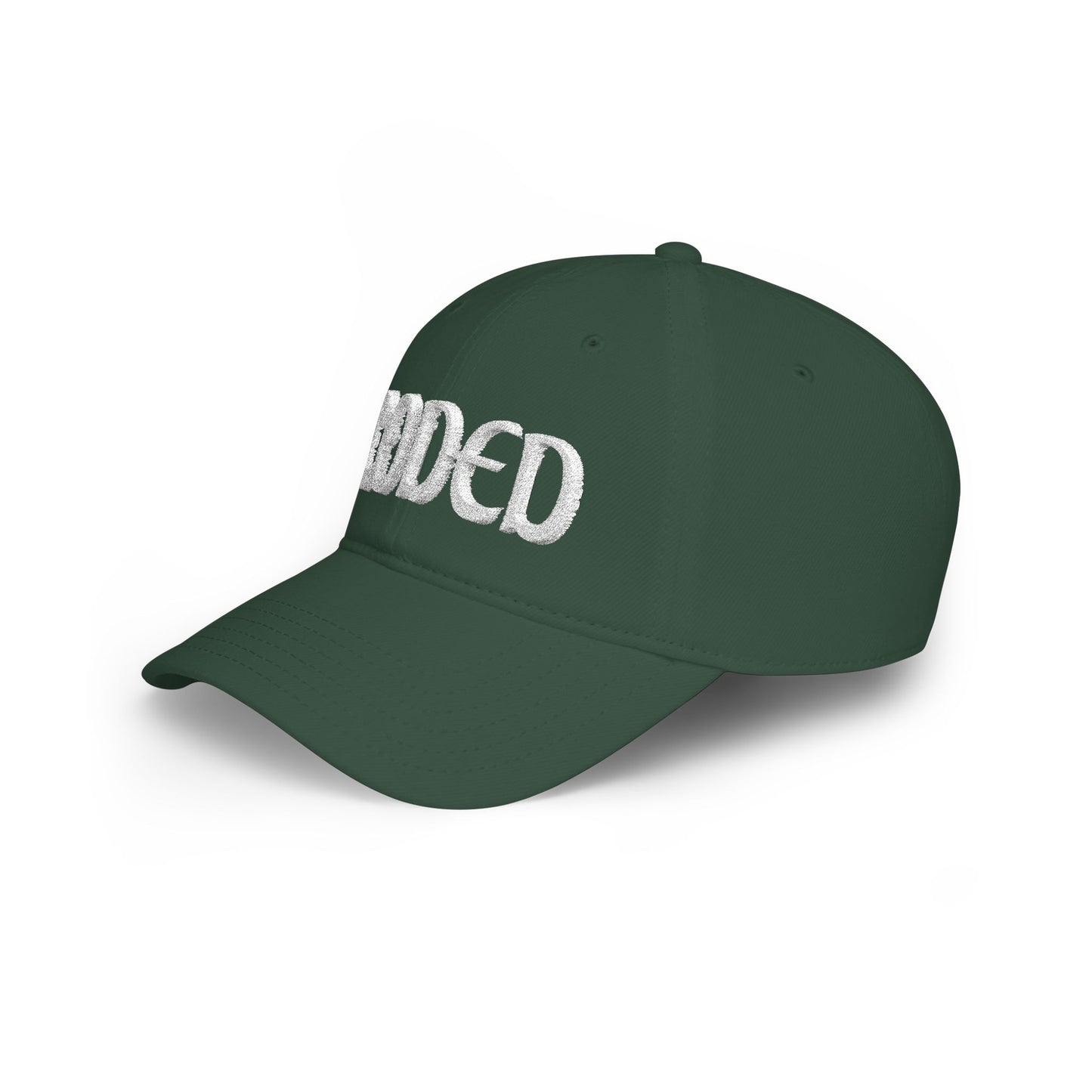 CODED SIDE SWIPER Low Profile Baseball Cap