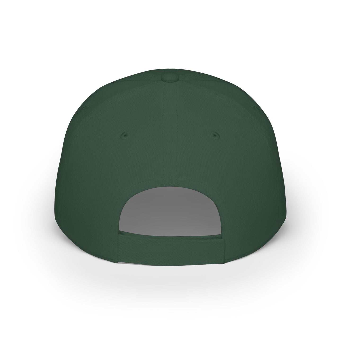 CODED SIDE SWIPER Low Profile Baseball Cap