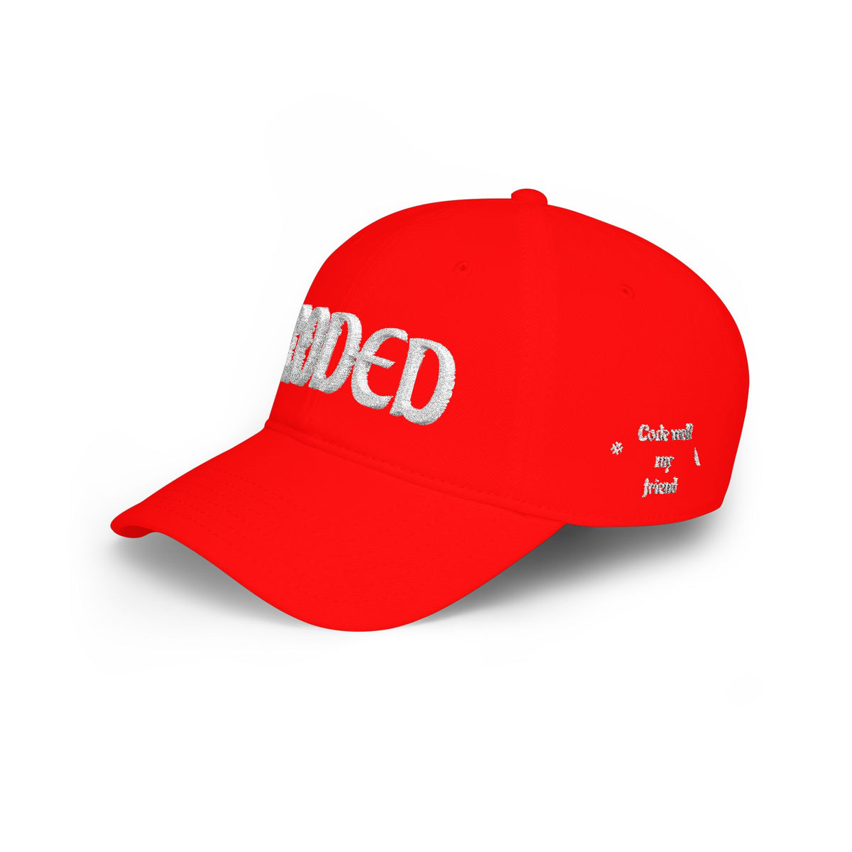 CODE WELL MY FRIEND Low Profile Baseball Cap