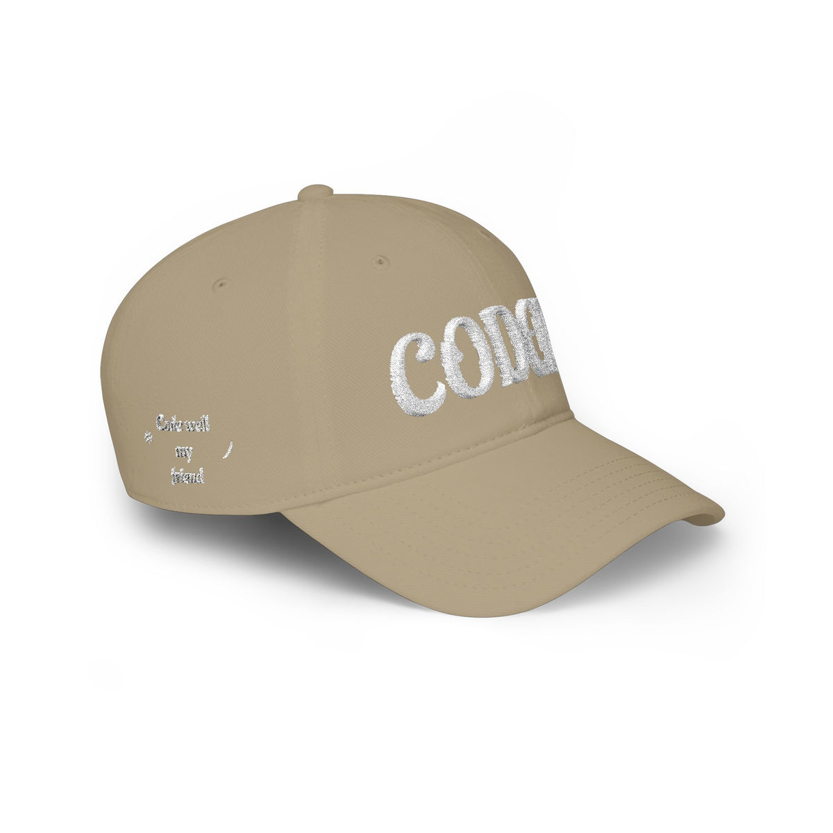 CODE WELL MY FRIEND Low Profile Baseball Cap