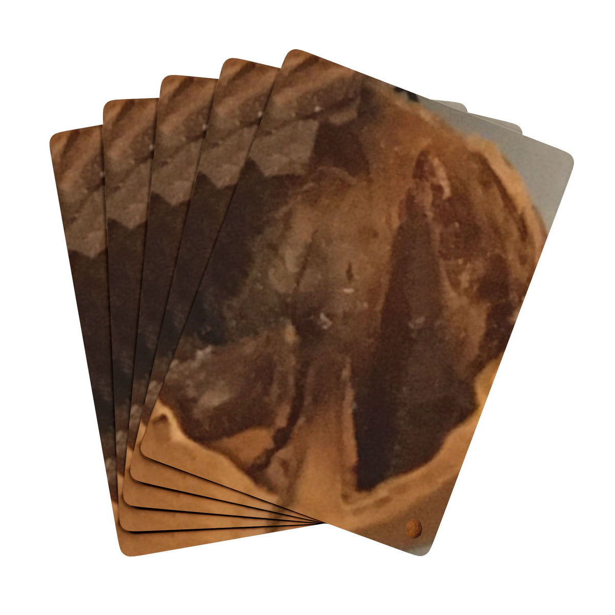 EDITH EINSTEIN WALNUT FACTORY 22 Poker Playing Cards
