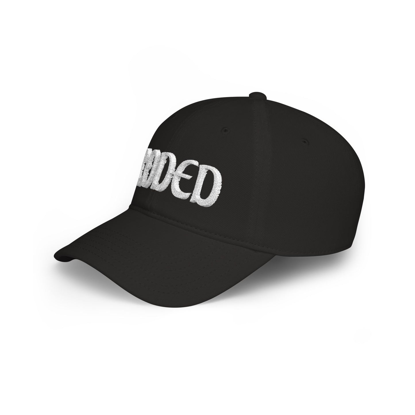 CODED SIDE SWIPER Low Profile Baseball Cap