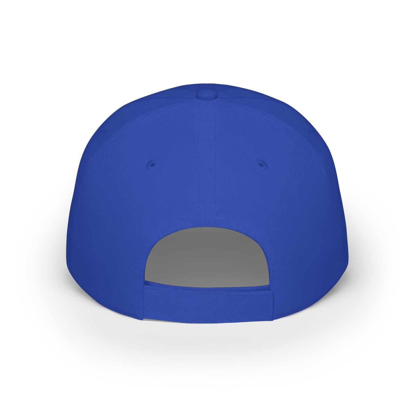 CODED SIDE SWIPER Low Profile Baseball Cap